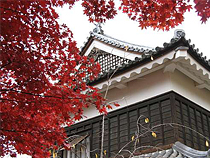 紅葉めぐりの旅、紅葉ツアーイメージ