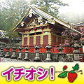 イチゴ狩りツアー