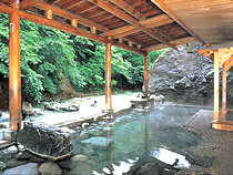 イチゴ狩りツアー