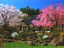 イチゴ狩りツアー