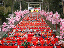 イチゴ狩りツアー
