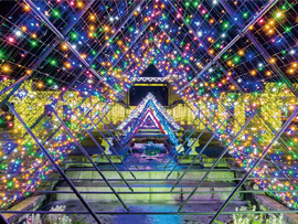 イルミネーションツアー