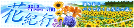 �ԋI�s2010�� ���Ԍ��c�A�[�A�Ԍ����s