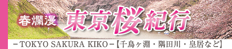 東京桜紀行