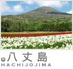 ���䓇�c�A�[