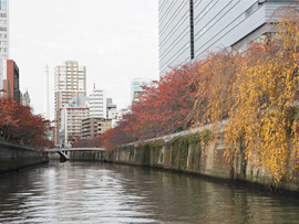 紅葉バスツアー