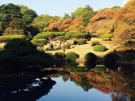 紅葉バスツアー