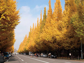紅葉バスツアー