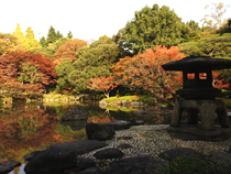 紅葉めぐりの旅、紅葉ツアーイメージ