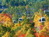 紅葉めぐりの旅、紅葉ツアーイメージ