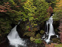 紅葉めぐりの旅、紅葉ツアーイメージ