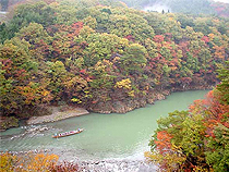 紅葉めぐりの旅、紅葉ツアーイメージ