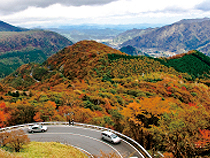 紅葉めぐりの旅、紅葉ツアーイメージ
