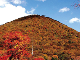 紅葉バスツアー