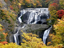 紅葉めぐりの旅、紅葉ツアーイメージ