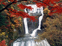 紅葉めぐりの旅、紅葉ツアーイメージ