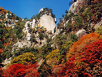 紅葉めぐりの旅、紅葉ツアーイメージ