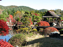 紅葉めぐりの旅、紅葉ツアーイメージ