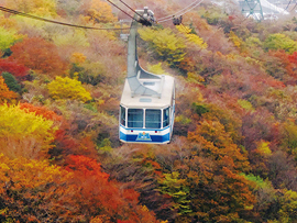 紅葉バスツアー