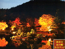 紅葉めぐりの旅、紅葉ツアーイメージ