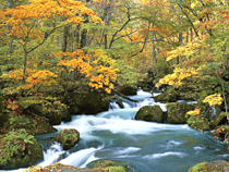 紅葉めぐりの旅、紅葉ツアーイメージ