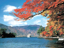 紅葉めぐりの旅、紅葉ツアーイメージ