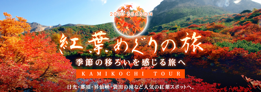 紅葉ツアー 紅葉のスバルライン富士五合目と富士ビューホテルバイキング ぶどう狩り 新宿発 日帰り タビユー株式会社