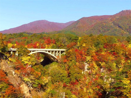 紅葉バスツアー