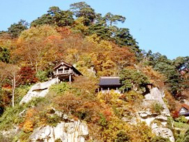 紅葉バスツアー
