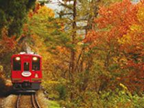 紅葉めぐりの旅、紅葉ツアーイメージ