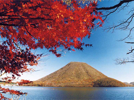 紅葉バスツアー