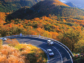 紅葉バスツアー