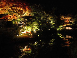 紅葉バスツアー