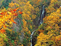 紅葉めぐりの旅、紅葉ツアーイメージ