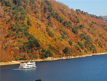 紅葉めぐりの旅、紅葉ツアーイメージ