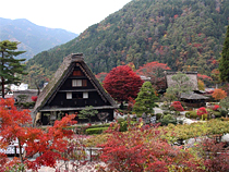 紅葉めぐりの旅、紅葉ツアーイメージ