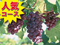 味覚狩りツアーイメージ