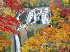 紅葉バスツアー