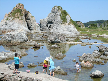 磯で遊ぼう「めおと岩」イメージ