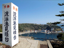 ���w�̎U���������ǂ闷�R�[�X�C���[�W