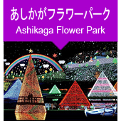 あしかがフラワーパークイルミネーションツアー
