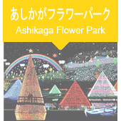 あしかがフラワーパークイルミネーションツアー