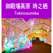 御殿場高原「時之栖」イルミネーションツアー