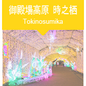 御殿場高原「時之栖」イルミネーションツアー