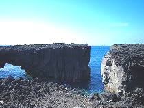 三宅島＆大島イメージ