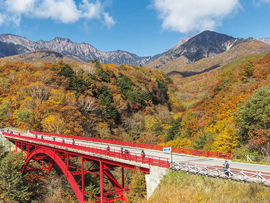 紅葉バスツアー