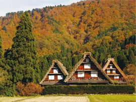 世界遺産・白川郷（写真提供：白川村）