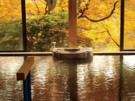 松川屋那須高原ホテル（大浴場）