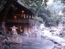 汪泉閣（温泉入浴）