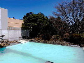 箱根湯の花プリンスホテル(入浴）